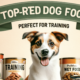 Discover the Best Dog Food for Training